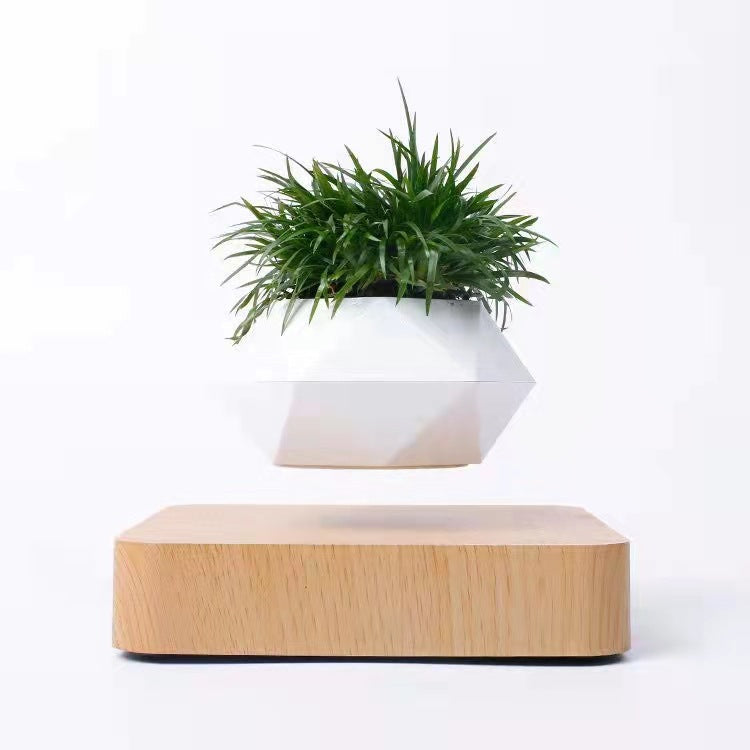 Levitating Flower Pot